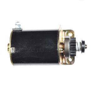 Briggs & Stratton Starter